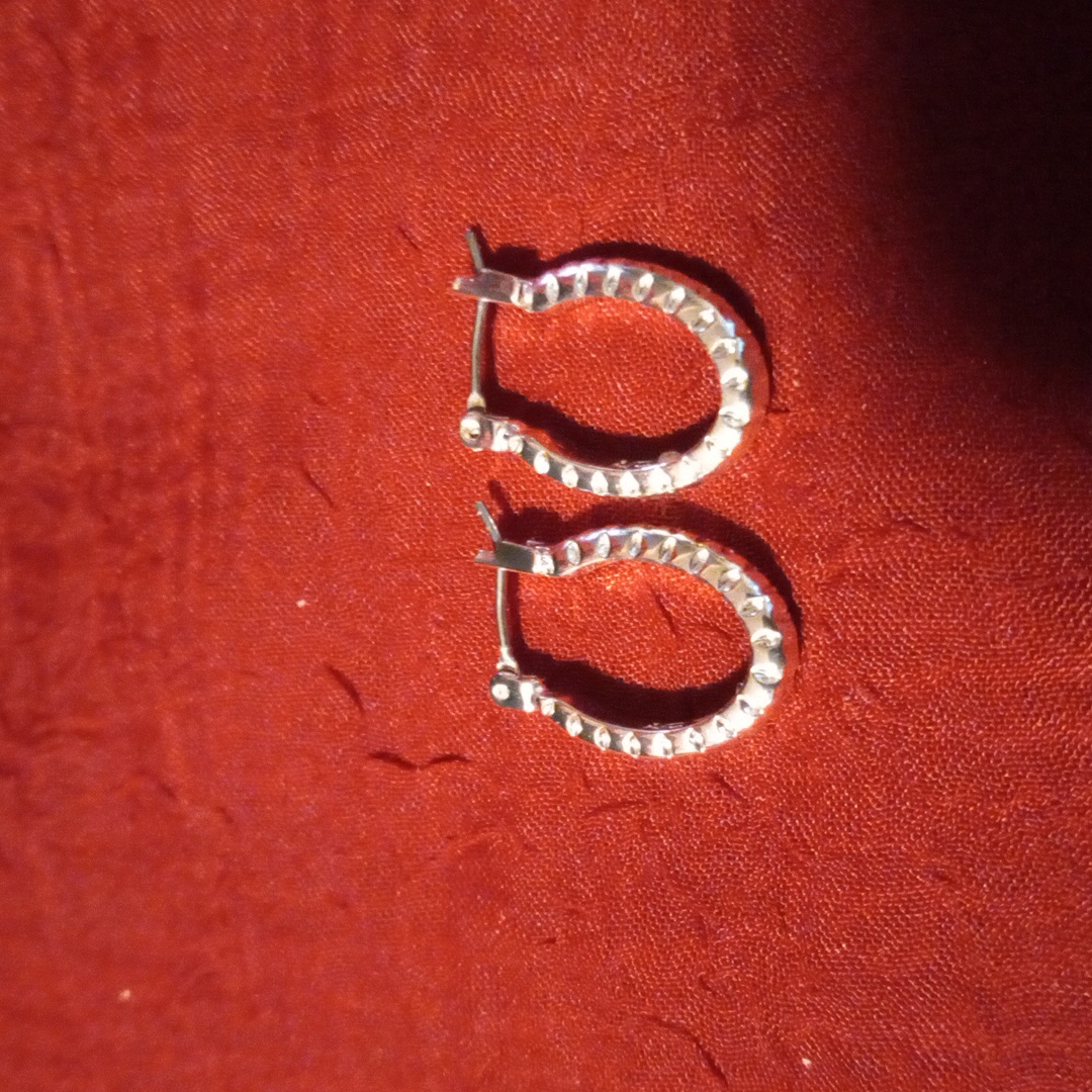 Beautiful Lauren Conrad Horse Shoe Shaped Posted Earrings 12$